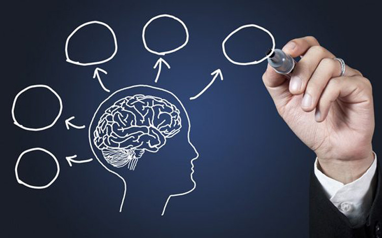  5 thói quen phát huy tối đa sức mạnh não bộ